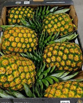 Pineapple - Kwanda Organics - France