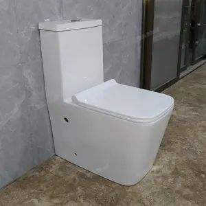 High Quality Fix to Wall One Piece Wash Down Rimless Structure Ceramic S Trap and P Trap Toilet - Chaozhou Chaoan Bath Friend Sanitary Ware Co., Ltd. - China