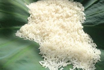 gạo trắng hạt dài, 5% tấm – product photo, Dried Long-Grain Rice products found from trusted suppliers, wholesalers, manufacturers & exporters Listing