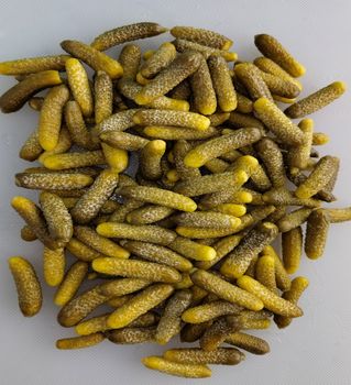 Gherkins in Natural Alcohol Vinegar/Acetic Acid or Brine Fermentation from Indus Vegpro Private Limited Gherkins in Natural Alcohol Vinegar/Acetic Acid or Brine Fermentation - Indus Vegpro Private Limited - India