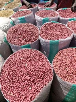 Peanuts & Cassava Chips Sand Stones Nil Weight (kg) 50kg Crude Fiber Max 5% Oil Content Min 45% Mold Infestation Nil Mold Live Insects Nil - King Bemma Global Resources Limited  - Nigeria