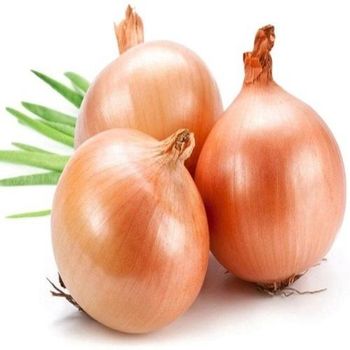 Fresh Yellow Onion, Clean and Premium Grade, Cheap Bulk Wholesale Prices from A.C.P. AGRICULTURE COMPANY LIMITED Fresh Yellow Onion, Clean and Premium Grade, Cheap Bulk Wholesale Prices - A.C.P. AGRICULTURE COMPANY LIMITED - Thailand