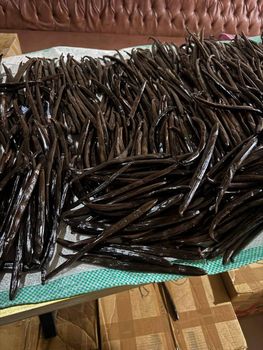 VANILLA Form Beans Origin Madagascar Availability Bulk - J2R SERVICES - Madagascar