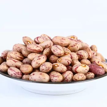 Cleaned Graded Premium Grade Non-GMO Dried Pinto Beans Bulk/Vacuum Pack for Consistent Size Quality Newest Year Crop from TRADECENTRIC LLC Cleaned Graded Premium Grade Non-GMO Dried Pinto Beans Bulk/Vacuum Pack for Consistent Size Quality Newest Year Crop - TRADECENTRIC LLC - United States
