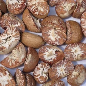 High Quality Dried Whole / Split Betel Nuts / Areca Nuts From Austria whatsap +255762500052 - AL JABLI TRADING COMPANY LIMITED - Tanzania