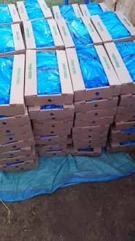 Herbs and Chillies (Fresh and Dried) from GGG PRODUCE LIMITED Herbs and Chillies (Fresh and Dried) – product photo, Dried Culinary Herbs products found from trusted suppliers, wholesalers, manufacturers & exporters Listing