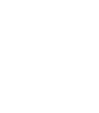 Product - CAICAS FLOWERS S.A.S - Global