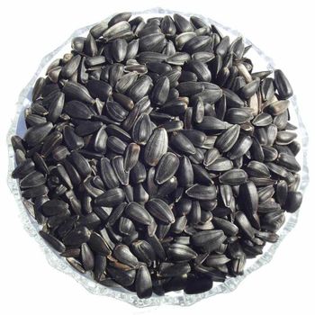 Large Kernel Sunflower Seed With 99% Purity Standard For Export Demand And Professional Agricultural Distribution - TOSOH INTERNATIONAL - South Africa