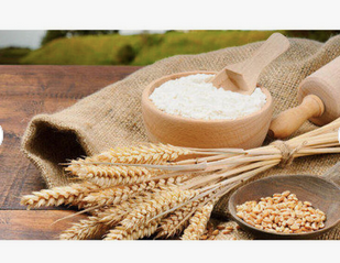 Buy Organic Wheat Flour / Rice Flour / Corn Flour / Durum Wheat Flour.Wheat Flour in cheap price.Food Grade Vital Wheat Gluten - Almaa SCS - Belgium