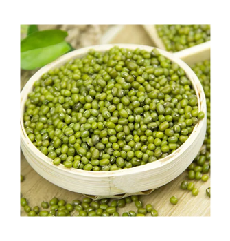 Mung Beans | Organic Green Mung Beans for Sprouting & Cooking -  CALIPSO POLSKA SP Z OO  - Poland