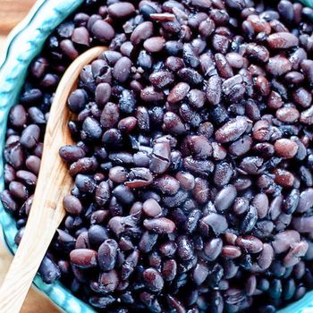 High Protein Black Bean Bulk Export Quality Black Bean For Food Manufacturing And Large Scale Processing Industry Buyers - THE GREEN INTERNATIONAL LIMITED - Tanzania