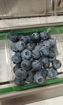 BLUEBERRIES FRESH Origin PERU - PERUVIAN SACRED WOOD S.R.L. - Peru