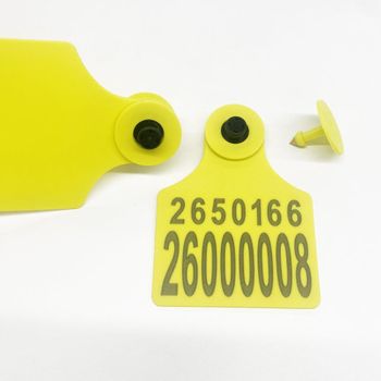 Large TPU RFID Cattle Ear Tags | FDX-B 134.2KHz ISO11784/5 Livestock Visual Tag (75*100mm) - Shenzhen Suan Intelligent (Eartaghome) Technology Co.,Ltd - China
