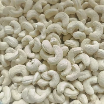 High Quality Cashew Nuts W180 W240 W320
