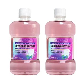 Customizable 250ml Portable Blueberry Travel Mouthwash for Fresh Breath - Enping Jiaxin Daily Necessities Co., Ltd. - China