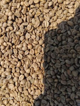 Green beans coffee - Keo Global - South Africa