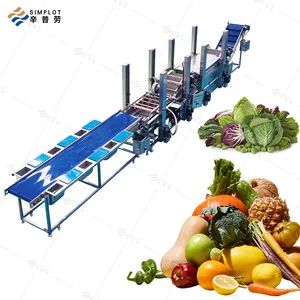 Commercial Rotary Drum Washing Machine Fruit Vegetable Cleaner for Batch Processing in Food Factory - Henan Simplot Intelligent Technology Co., Ltd. - China