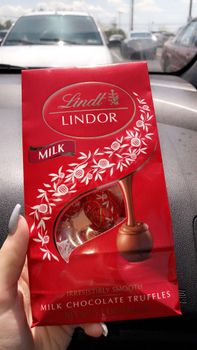 Sweet Lindt Chocolate Rich Cocoa Luxury Selection Excellent Quality Wholesale Price Fresh Delicious Gift Treat - PLANETE COMMERCE - France