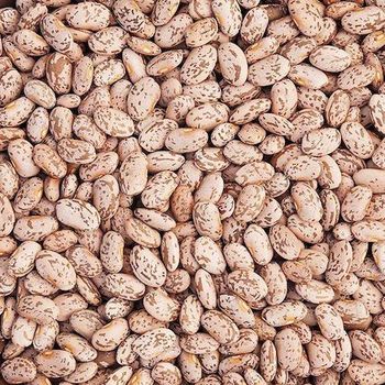 Pinto Beans, Red kidney beans, Mung beans wholesale Bean Types Pinto Beans, Red Kidney Beans, Mung Beans - NUTRIDIET LDA - United Kingdom