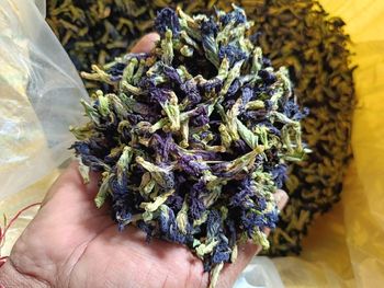 BLUE PEA FLOWER TEA from APEX GLOBAL TRADE BLUE PEA FLOWER TEA - APEX GLOBAL TRADE - India