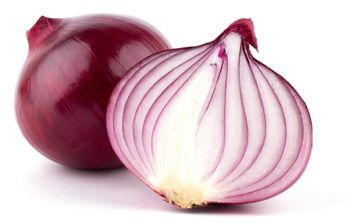 NEW crop 100 mm Fresh Red Onion SUPER Quality VERY COMPETITIVE Prices - HIGHPROFILE AGRICULTURE SERVICES LIMITED - Tanzania