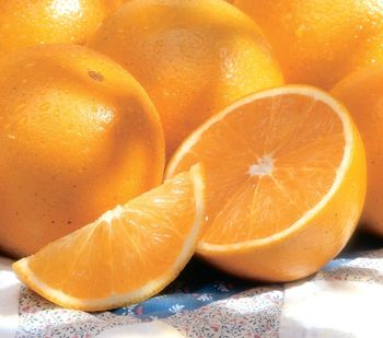 Premium Grade High Quality Fresh Valencia Oranges From with Yellow Color and 2 Year Shelf Life for Wholesal - TRADECENTRIC LLC - United States