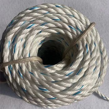Rock Climbing Static Rope or Outdoor Other Sports Safety Rope - Sign In - China