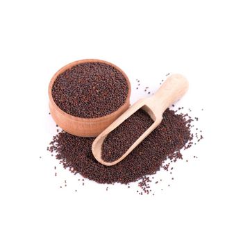 Low price Mustard Seeds available for wholesale buyers and bulk seasoning suppliers - MASI TRADING GMBH - Germany