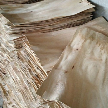 Natural Mango Wood Vaneer - Hindustan Enterprises - India