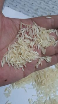 Basmati steam rice 1121 – product photo, 1121 Steam Rice products found from trusted suppliers, wholesalers, manufacturers & exporters Listing
