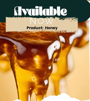 Honey – product photo, Honey products found from trusted suppliers, wholesalers, manufacturers & exporters Listing
