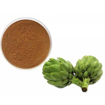 Artichoke Extract Powder with 4: 1 10: 1 Wholesale Dried Artichoke Thistle Leaf Extract 4: 1 10: 1 Herbal Powder - Shaanxi KBC Biotech Co., Ltd. - China