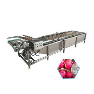 Industrial Potato Cassava Carrot Pitaya Vegetable Fruit Washing Drying Line Washer - Henan Baixin Machinery Equipment Co., Ltd. - China