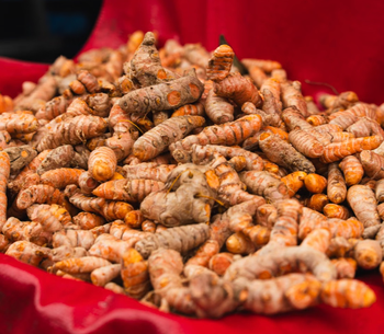 Turmeric - TECHSTECK SOLUTIONS LLP - India