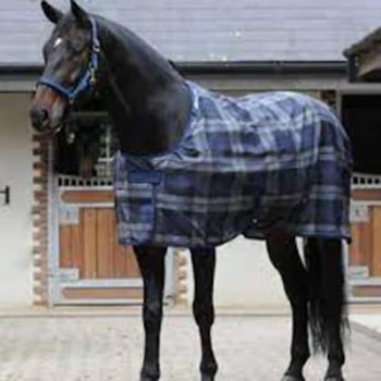 Equestrian Equipment Equestrian Horses Clothing Horse Riding Horse Product - Dongguan Ope Equestrian Co., Ltd. - China