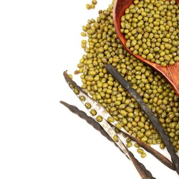Natural Green Mung Beans for Sale Bulk Green Mung Beans Premium Quality Healthy Protein Rich Legume Product - AGRO AFRIQUE COMPANY LIMITED - Tanzania