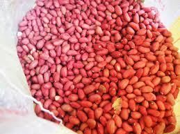 Groundnuts Texture Fresh Grade Large peanuts Packaging 50 kg bags Nutritional Value High Quality Standards International Standards - Shopkanairoltd - Kenya
