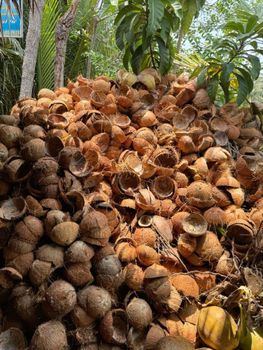 Raw coconut shells from Salespickbyn Raw coconut shells - Salespickbyn - Tanzania