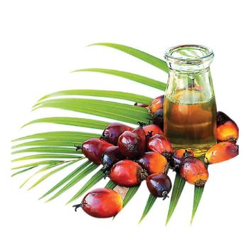 Manufacturer Supply Wholesale Bulk Price RBD Palm Oil 100% Pure Natural Organic Red Palm Oil from DAEWKAEW PANTAMANG Co., Ltd Manufacturer Supply Wholesale Bulk Price RBD Palm Oil 100% Pure Natural Organic Red Palm Oil - DAEWKAEW PANTAMANG Co., Ltd - Thailand