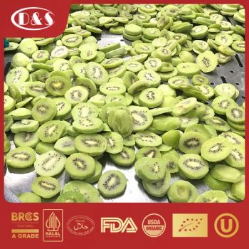 High Quality Organic Frozen Kiwi Fruit Slices IQF Sliced Kiwi - QINGDAO DEESHENGHENGXIN FOOD CO., LTD. - China