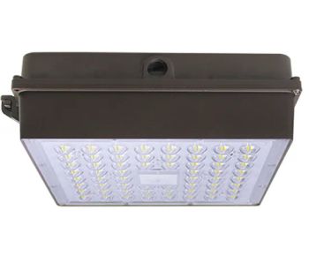 Gas Station Lamp 60W 80W 100W 120W Canopy Light LED Thd <15% Power 100W IP Rating IP65 Lifespan ≥50000H Net Weight - Rayborn Lighting Industry Co., Ltd. - China