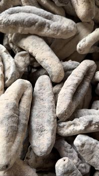 Dried Sea Cucumber - CV PUTRA TELLO MANDIRI - Indonesia