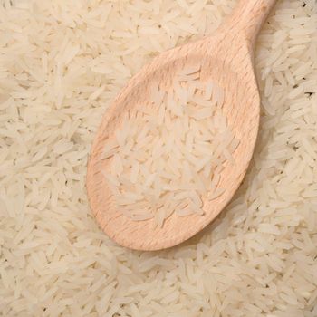 Mahmood Rice Long Grain Rice Collection Offering Reliable Texture And Grain Quality For Wholesale Import - TOSOH INTERNATIONAL - South Africa