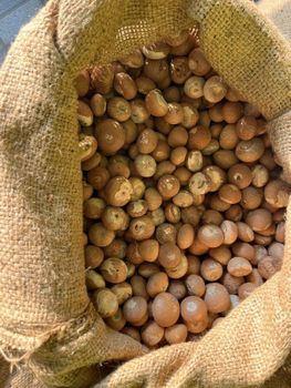 Betel nuts - GO EXPRESS LOGISTICS CO. LTD. - Thailand