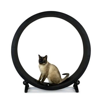Fitness Claw Grinding Sports Multifunctional Quiet Cat Treadmill Sound Teasing Cat Toys - GOOD SELLER CO., LTD. - China