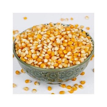 Yellow maize offered in large quantities for wholesale trade Grade A Features Organic Packaging Size > 10 kg to 25 kg - MASI TRADING GMBH - Germany