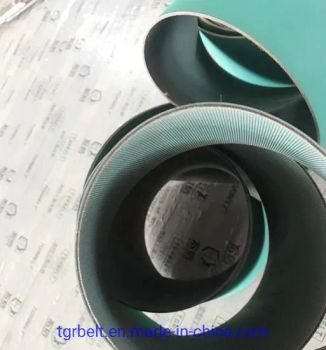 Tp-18 Polyamide Transmission Belt for Packaging Machinery Flat Transmission Belts - TIGER(XIAMEN)X-M CO., LTD. - China