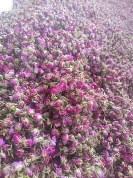 Lalehzar Rose Buds - Aramis Dried Fruit - Iran