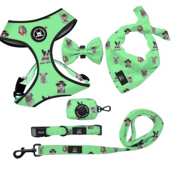Pet Supplies Hot-Selling Dog Walking Pet Harness Wholesale Pet Products Supply - Dongguan Inchol Pet Products Co., Ltd. - China