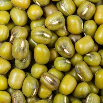 Selected Dehydrated Green mung beans From Trusted Farms With Clean Processing And Bulk Packing - malter group - Tanzania